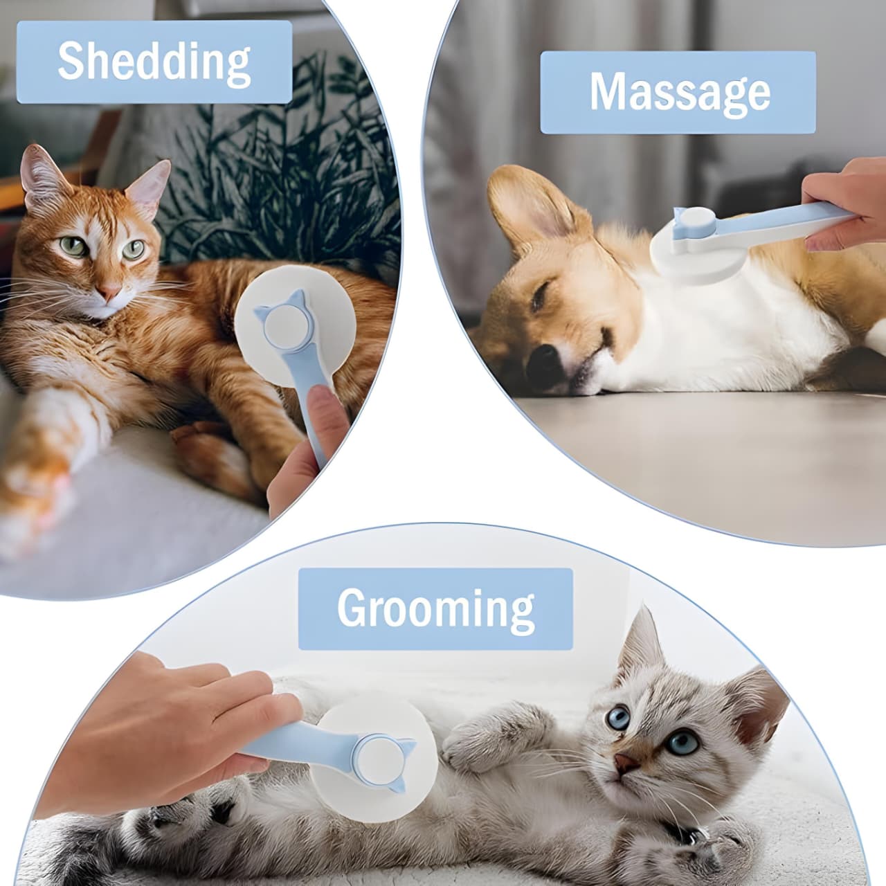 Pet Grooming Brush